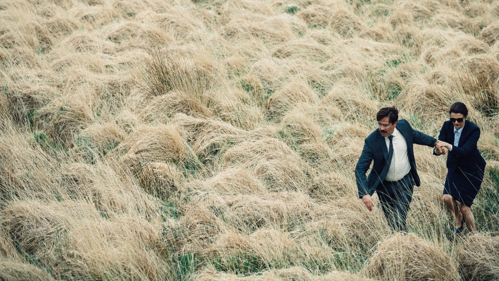 Image from the movie "The Lobster"