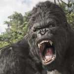 kingkong