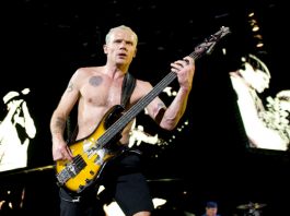 Flea