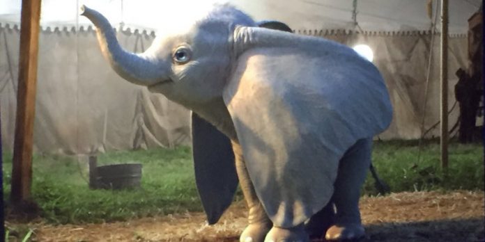 Prima immagine live-action Dumbo