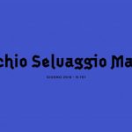 Mucchio Selvaggio