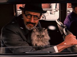 Wes Anderson odia davvero i gatti