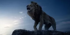 Il Re Leone (2019): la recensione del nuovo live-action Disney 