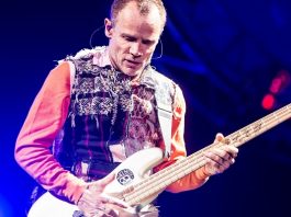 Flea