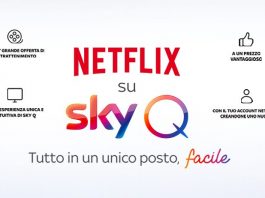 sky netflix sky q