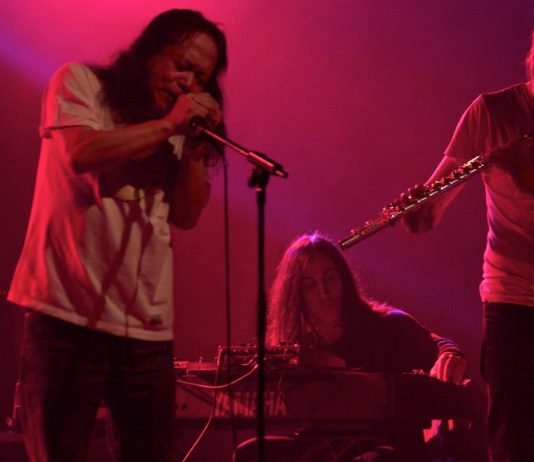 Damo Suzuki