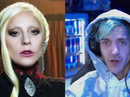 lady gaga, ninja