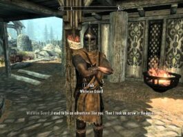 The Elder Scrolls V: Skyrim