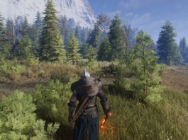 Witcher