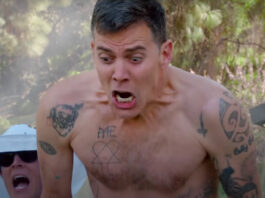 Steve-O, Jackass