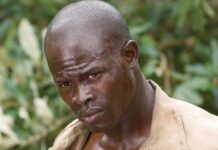 djimon hounsou