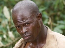 djimon hounsou