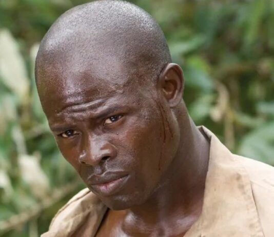 djimon hounsou