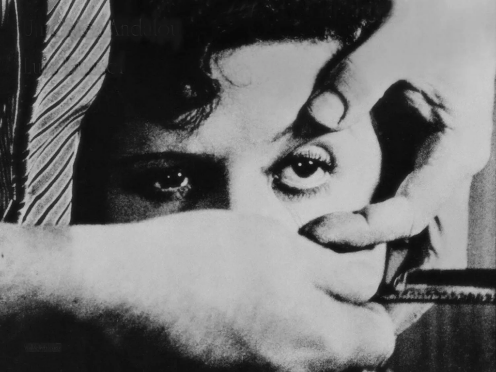 un chien andalou, david lynch, dalì