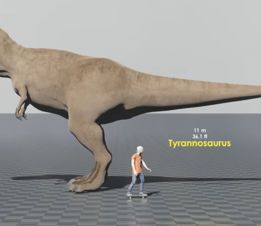 dinosauri