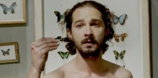 Shia LaBeouf, Nymphomaniac