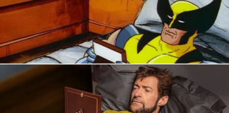 Wolverine