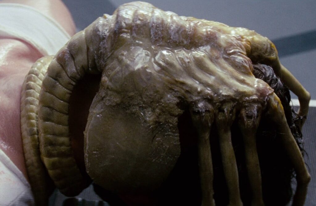 regular facehugger on kane