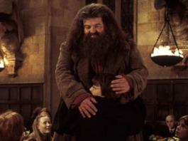 Hagrid