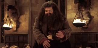 Hagrid