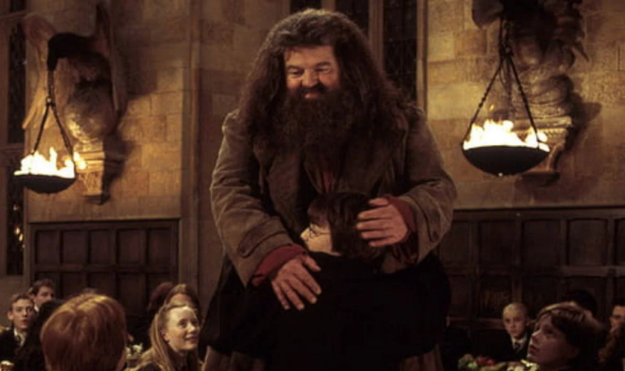 Hagrid