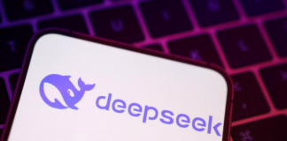 DeepSeek