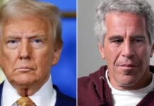 trump, epstein