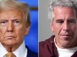 trump, epstein