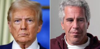 trump, epstein