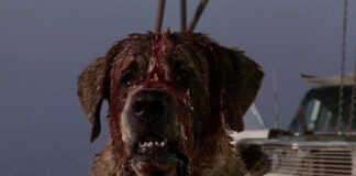 cujo