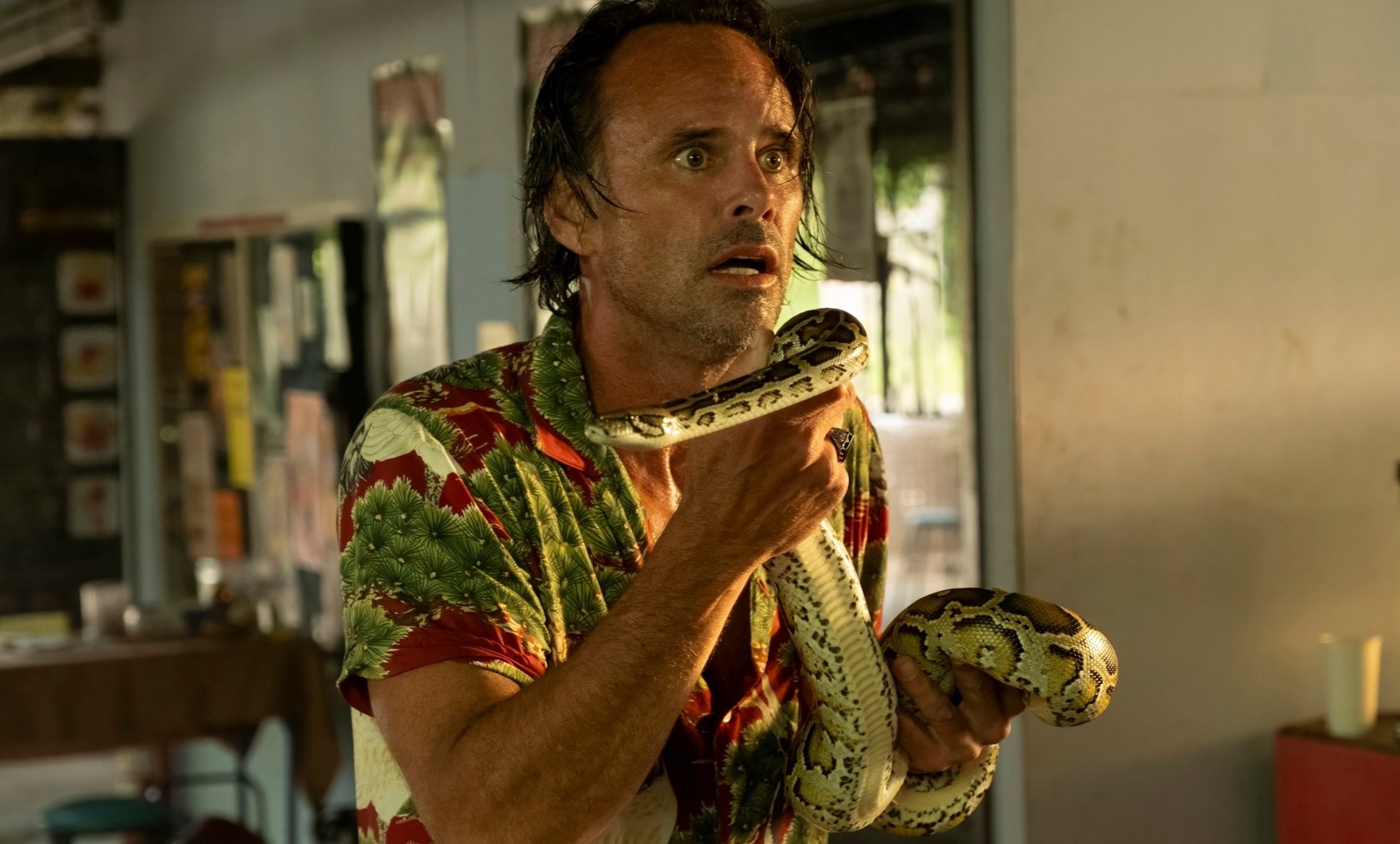 Walton Goggins è stato morso da un serpente sul set